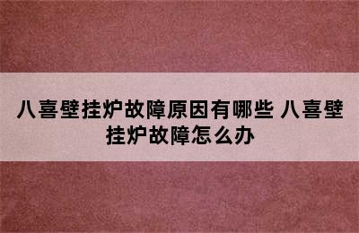 八喜壁挂炉故障原因有哪些 八喜壁挂炉故障怎么办